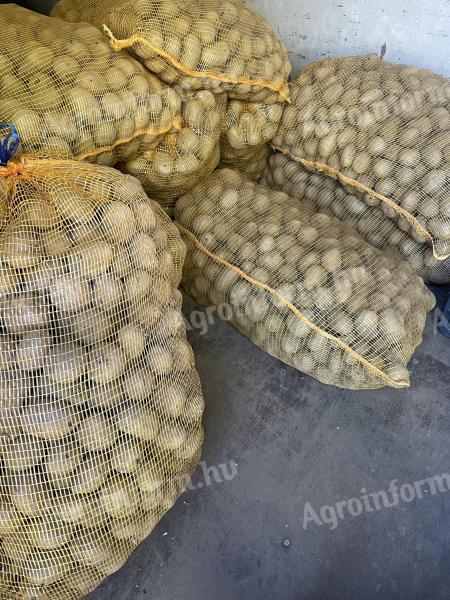 Vető méretű burgonya eladó