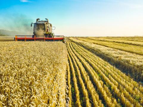 Teljes körű mezőgazdasági szolgáltatás Dél-Békésben
