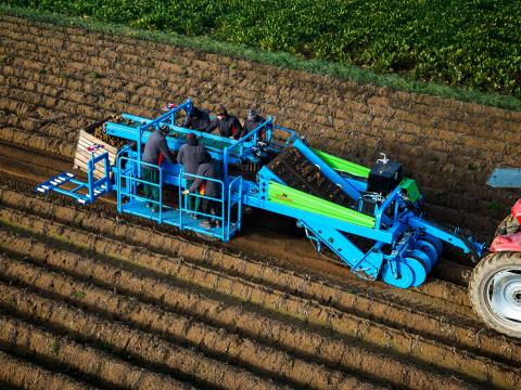 Krukowiak Pyrus III vontatott burgonya-betakarítógép