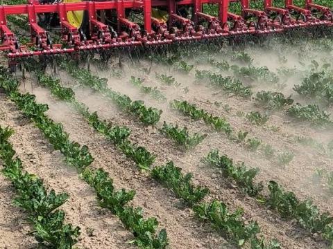 Krukowiak Eos sorközművelő kultivátor – több munkaszélességben