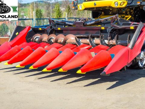 Przystawka do kukurydzy GERINGHOFF RD 800 / FB - 8x75 - 2003 rok