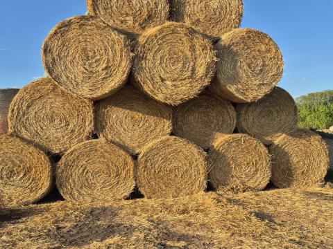 Szalma eladó