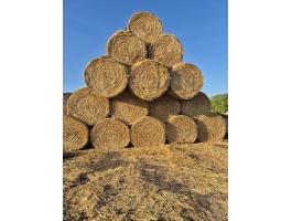 Szalma eladó