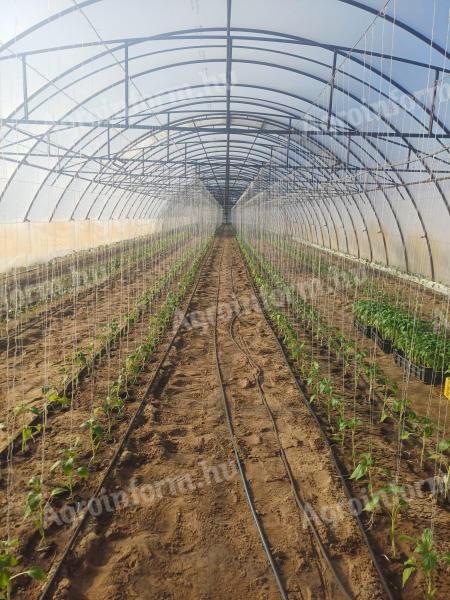 Mezőgazdasági munkákat vállalunk sokéves tapasztalattal