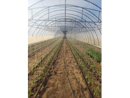 Mezőgazdasági munkákat vállalunk sokéves tapasztalattal