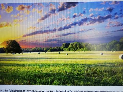 12 hektáros, 1/1 tulajdonú kisgazdaság eladó Sükösdön