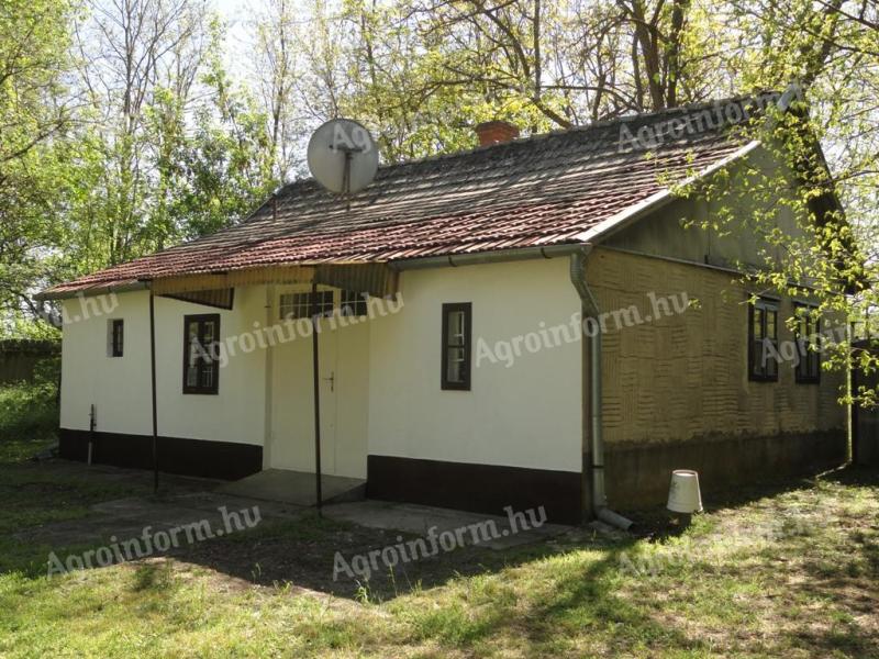 Kiskőrös Felsőcebén szép kis tanya 2,7 ha földdel eladó