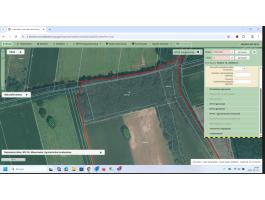 Nyíradony külterületén fásodott szántó eladó