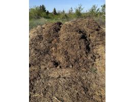 Eladó szarvasmarha trágya