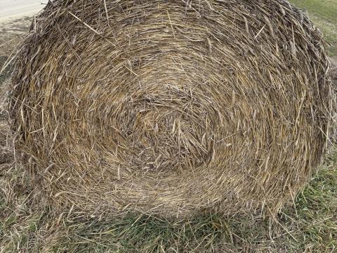 Tritikálé szalmabála