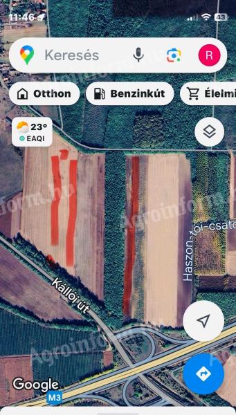 Szántóföld eladó