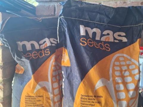 Kukorica vetőmag és talajfertőtlenítő