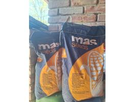 Kukorica vetőmag és talajfertőtlenítő