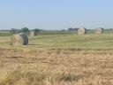 Bálázó, körbálázó, Claas Variant 180 eladó