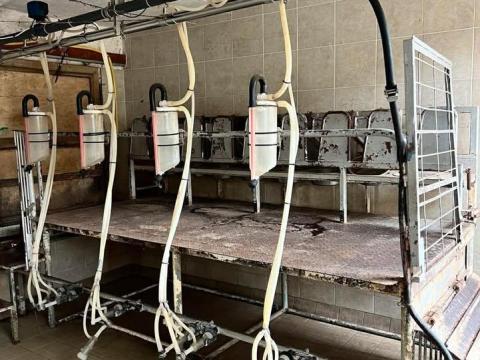 8 fejes kecske fejőállomás HungaroLact