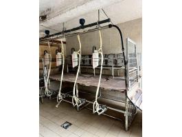 8 fejes kecske fejőállomás HungaroLact