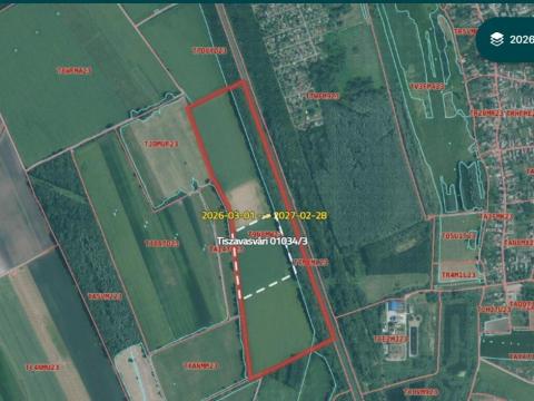 Kiadó szántók Tiszavasvári külterületén (16 ha)