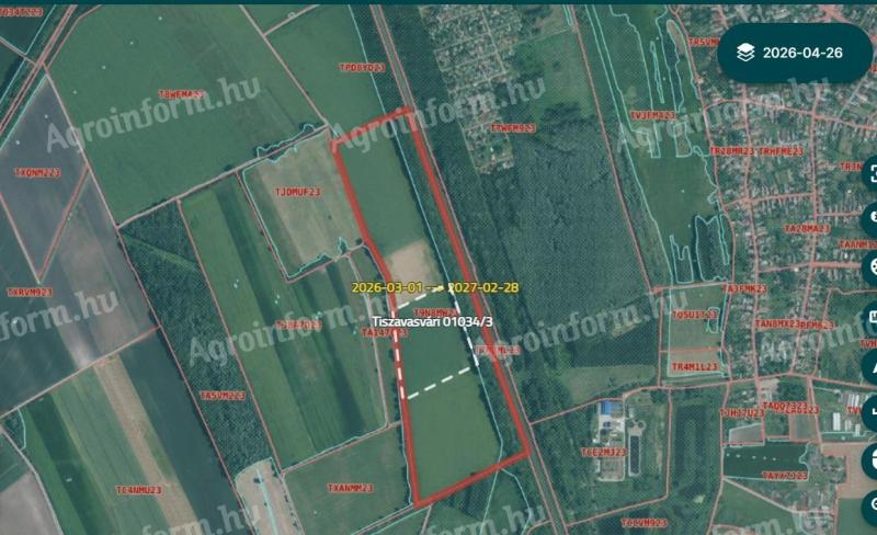 Kiadó szántók Tiszavasvári külterületén (16 ha)