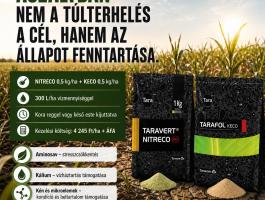 Aszálykori lombkezelés – aminosav, kálium lombtrágya