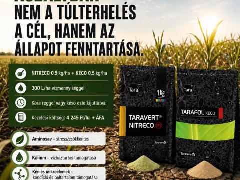 Aszálykori lombkezelés – aminosav, kálium lombtrágya