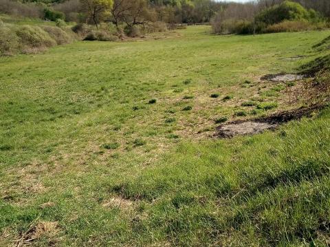 Eladó 5.2 ha rét Balajton