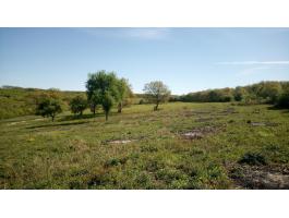 Eladó legelő és erdő Ládbesenyőn