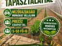 Mezőgazdasági munkákat vállalunk
