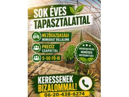 Mezőgazdasági munkákat vállalunk