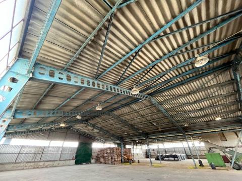 Kivételes befektetési lehetőség Orosháza külterületén