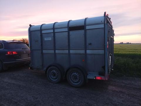 Ifor Williams állatszállító 2015