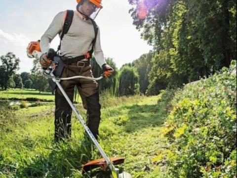 Fűnyírás és kaszálás
