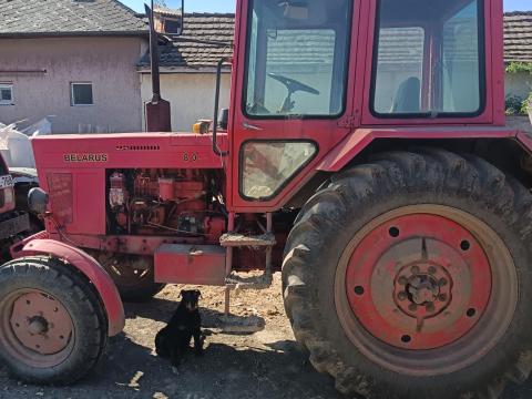 Mtz 80 eladó