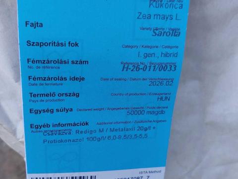 GK Sarolta kukorica vetőmag
