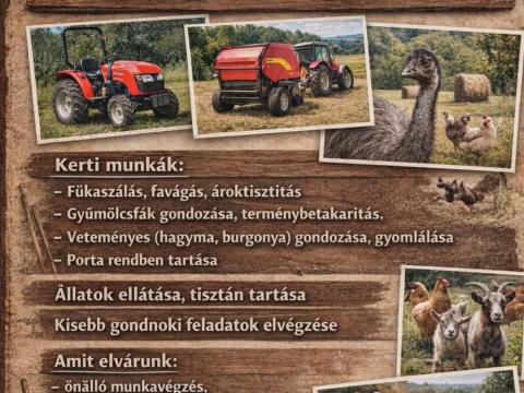 Gondnok