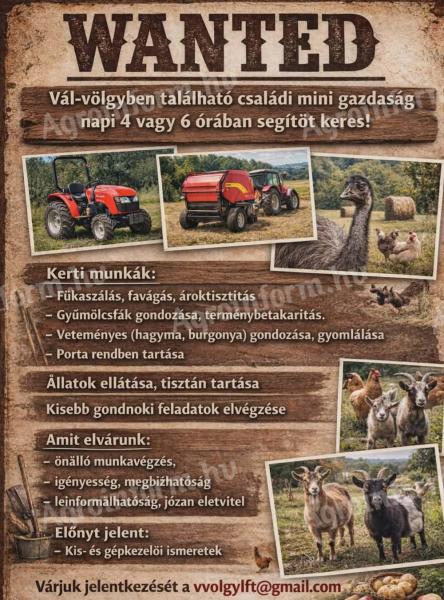 Gondnok