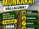 Mezőgazdasági munkákat vállalunk