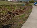 Szeszfőzde