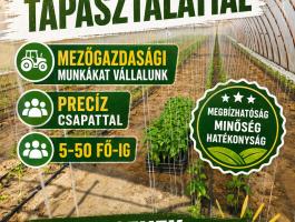 Mezőgazdasági munkákat vállalunk sokéves tapasztalattal