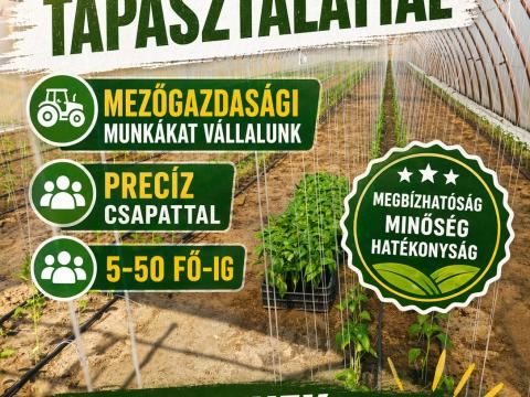 Mezőgazdasági munkákat vállalunk sokéves tapasztalattal