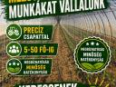 Mezőgazdasági munkákat vállalunk sokéves tapasztalattal