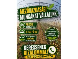 Mezőgazdasági munkákat vállalunk sokéves tapasztalattal