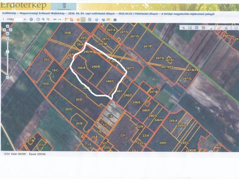 Eladó erdőterület – Pusztavacs és Újlengyel között (60/30 ha)