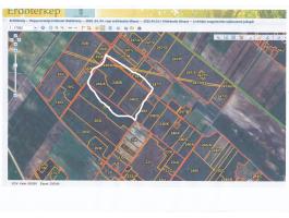 Eladó erdőterület – Pusztavacs és Újlengyel között (60/30 ha)