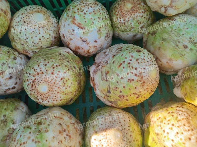 Zellergumó eladó