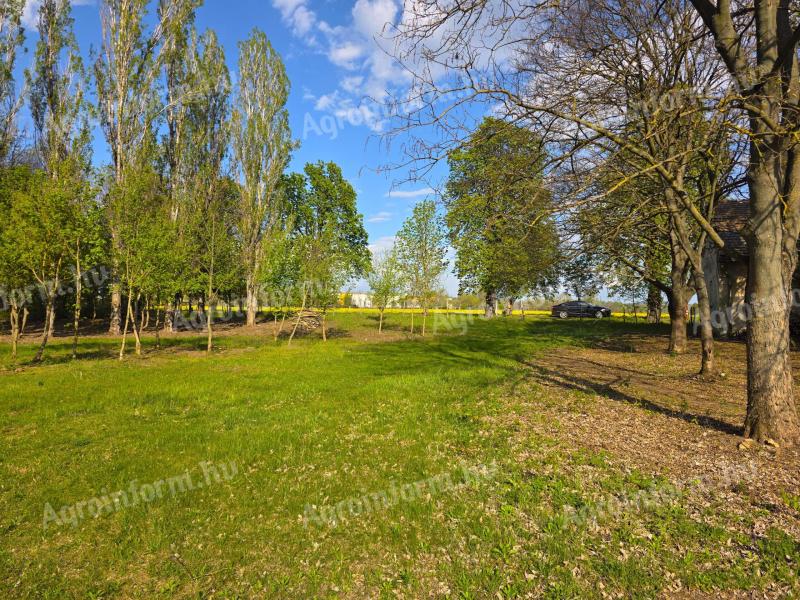 Vác 14.000 m2 telek/ingatlan kiváló helyen