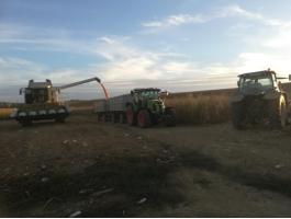 Claas Conspeed 6-75 FC kukorica adpter