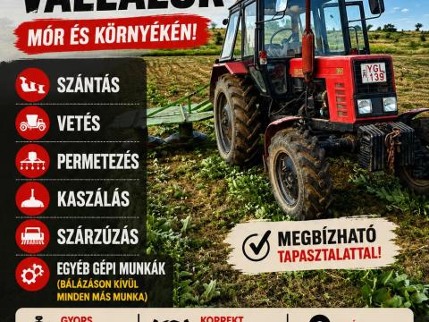 MTZ-munkák