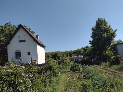 16. kerületben, Örs Vezér terétől HÉV-vel 20 percre (8 megálló) eladó egy 1200 m² zártkerti telek, présházzal