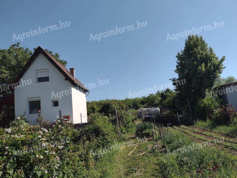 16. kerületben, Örs Vezér terétől HÉV-vel 20 percre (8 megálló) eladó egy 1200 m² zártkerti telek, présházzal