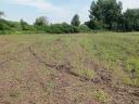 Debrecen mellett 8764m2 földterület eladó